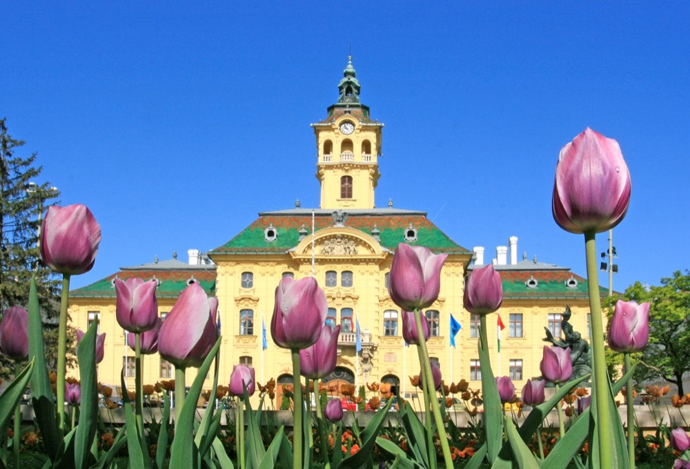 Városháza